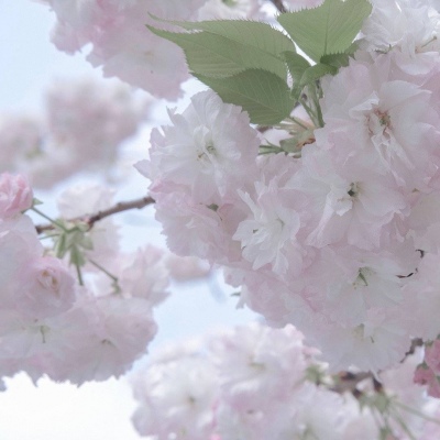 海州福瑞交流群